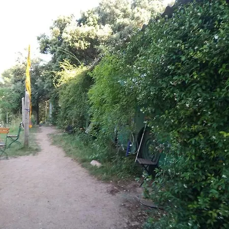 Kemping Hebergements Bohemes Pleine Nature Gignac (Herault)