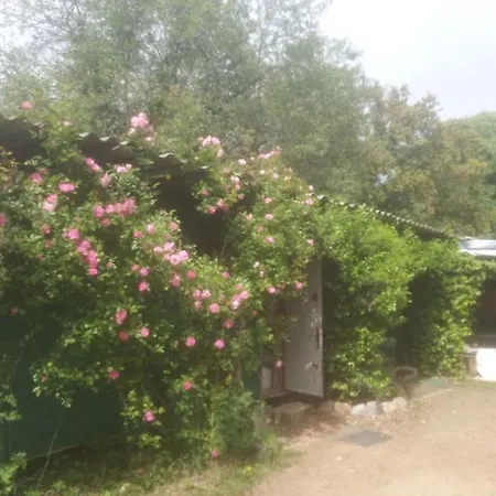 Hebergements Bohemes Pleine Nature Campsite Gignac (Herault)