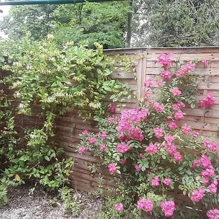 Hebergements Bohemes Pleine Nature