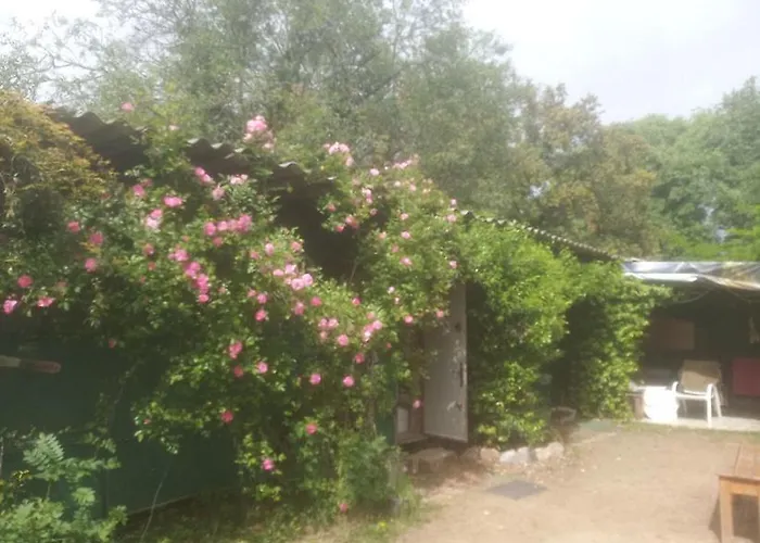Hebergements Bohemes Pleine Nature Kamp alanı Gignac (Herault)