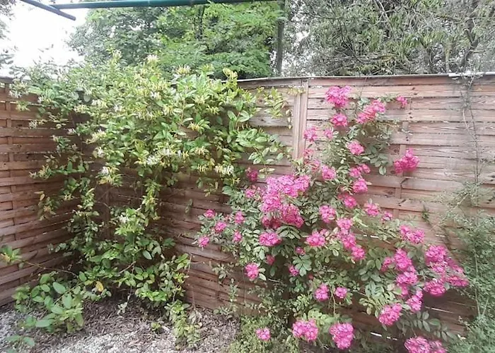 Hebergements Bohemes Pleine Nature