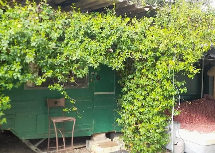 Kamp alanı Hebergements Bohemes Pleine Nature Gignac (Herault)